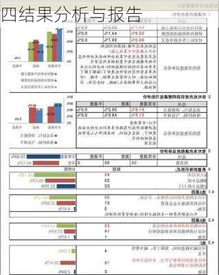四结果分析与报告