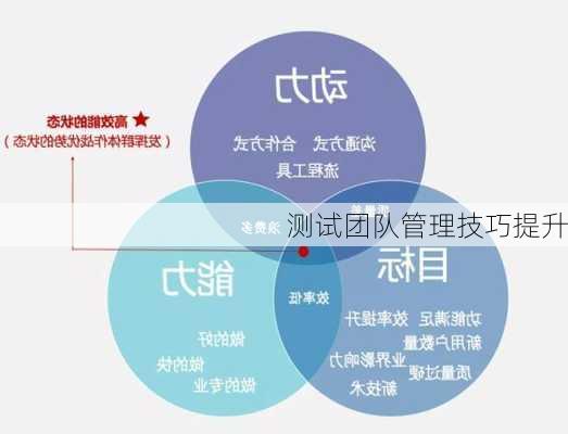 测试团队管理技巧提升