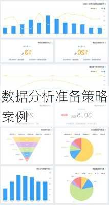 数据分析准备策略案例