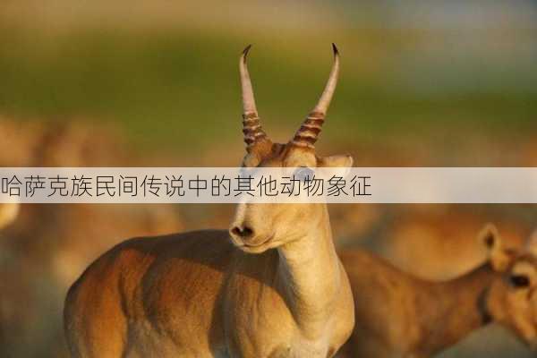 哈萨克族民间传说中的其他动物象征
