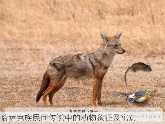 哈萨克族民间传说中的动物象征及寓意