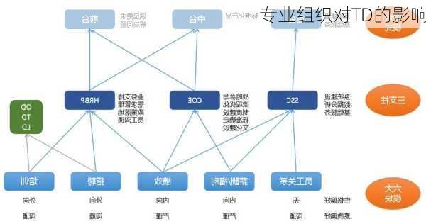 专业组织对TD的影响