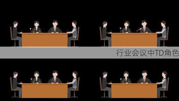 行业会议中TD角色