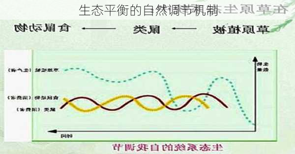 生态平衡的自然调节机制