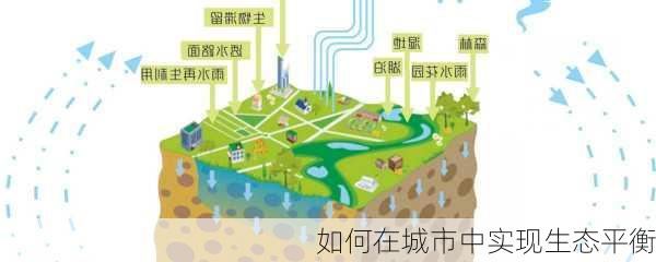 如何在城市中实现生态平衡