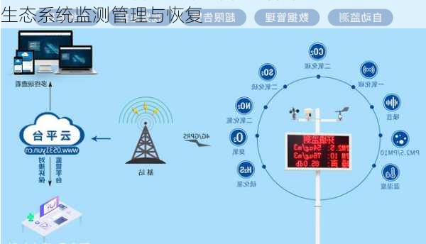 生态系统监测管理与恢复