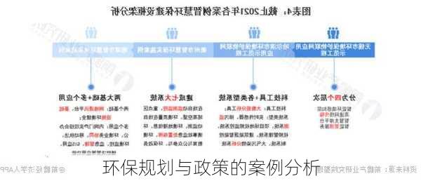 环保规划与政策的案例分析