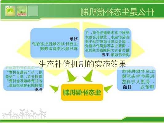 生态补偿机制的实施效果