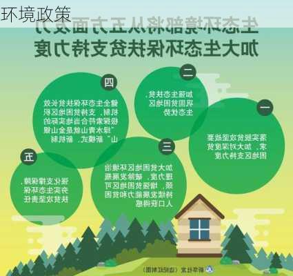 环境政策