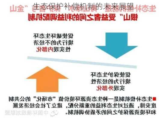 生态保护补偿机制的未来展望