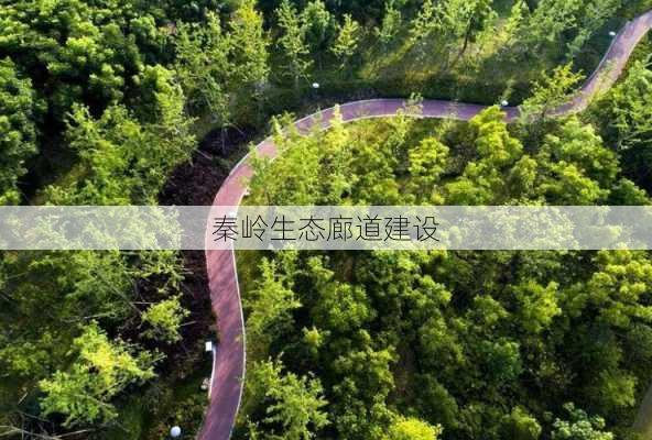 秦岭生态廊道建设