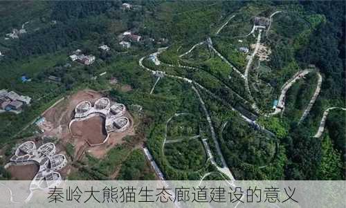 秦岭大熊猫生态廊道建设的意义