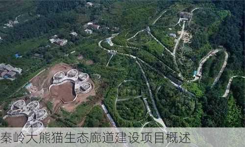 秦岭大熊猫生态廊道建设项目概述