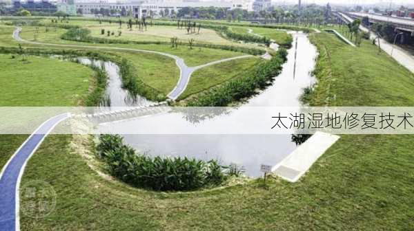 太湖湿地修复技术