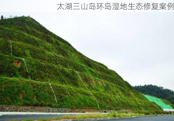 太湖三山岛环岛湿地生态修复案例