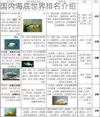 国内海底世界排名介绍