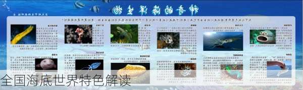 全国海底世界特色解读