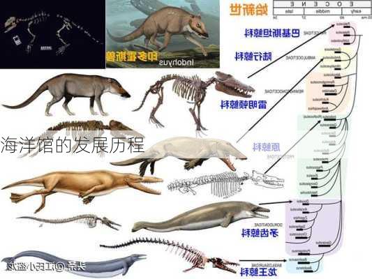 海洋馆的发展历程
