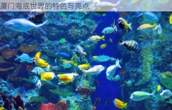 厦门海底世界的特色与亮点