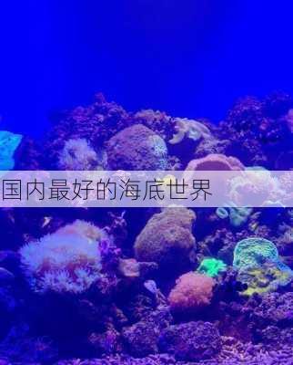 国内最好的海底世界