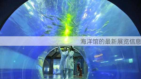 海洋馆的最新展览信息