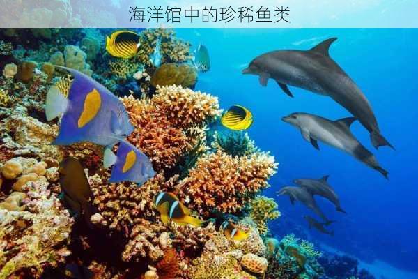 海洋馆中的珍稀鱼类