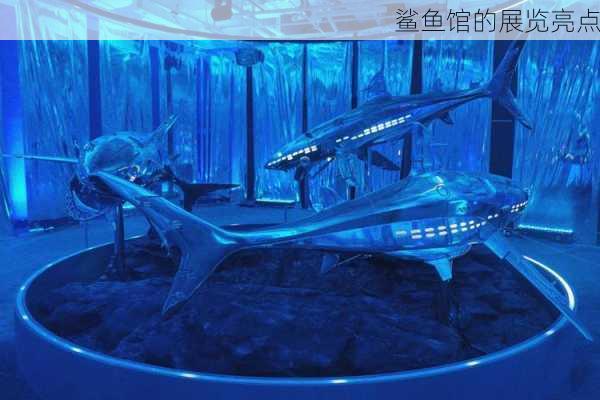 鲨鱼馆的展览亮点
