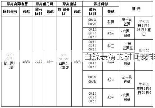 白鲸表演的时间安排