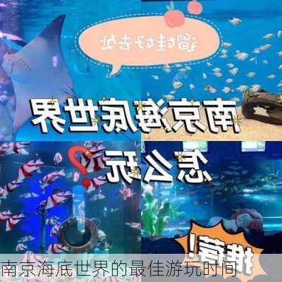 南京海底世界的最佳游玩时间