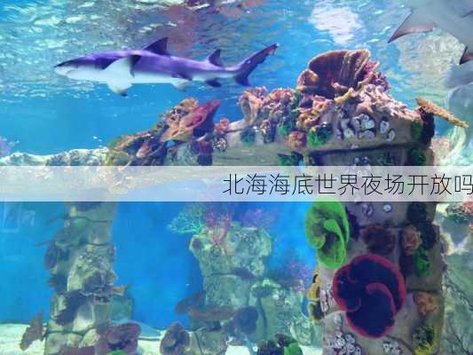 北海海底世界夜场开放吗