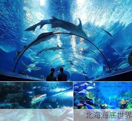 北海海底世界