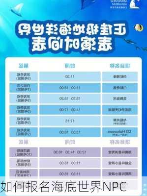 如何报名海底世界NPC