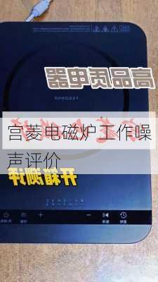 宫菱电磁炉工作噪声评价