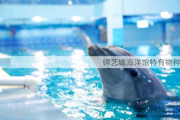 锦艺城海洋馆特有物种
