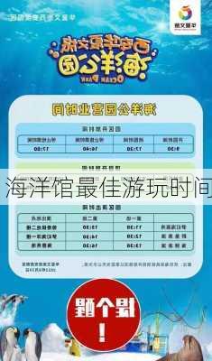 海洋馆最佳游玩时间