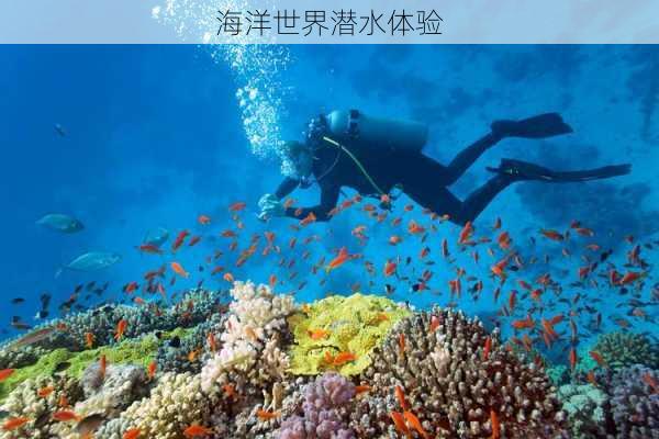 海洋世界潜水体验