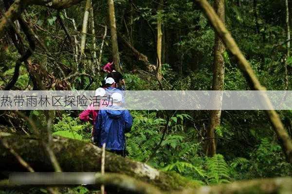 热带雨林区探险活动