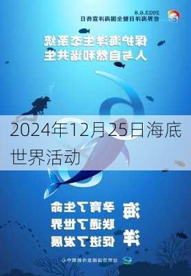 2024年12月25日海底世界活动