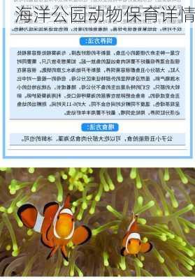 海洋公园动物保育详情