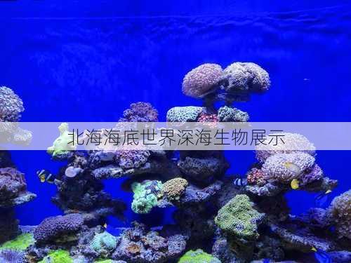 北海海底世界深海生物展示