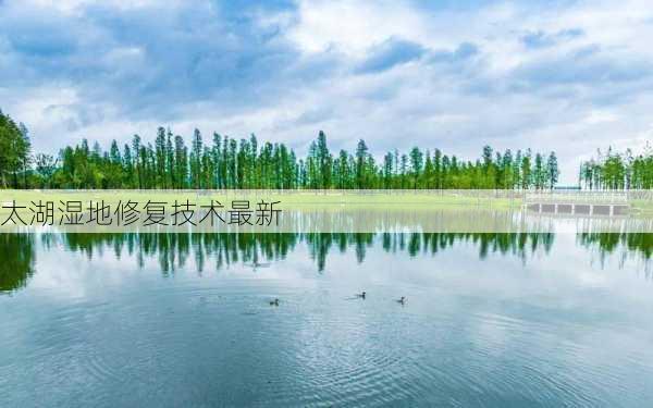 太湖湿地修复技术最新