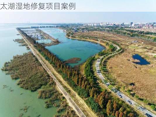 太湖湿地修复项目案例