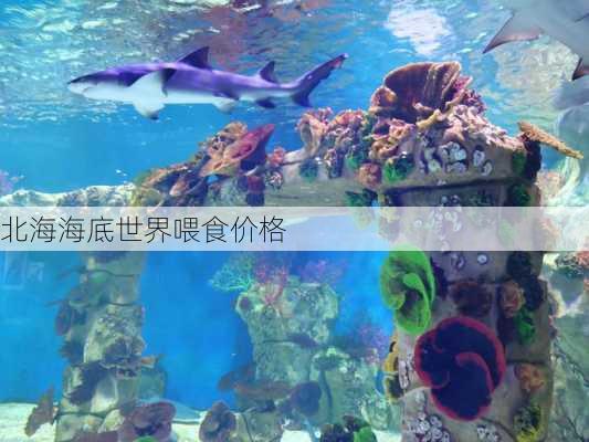 北海海底世界喂食价格