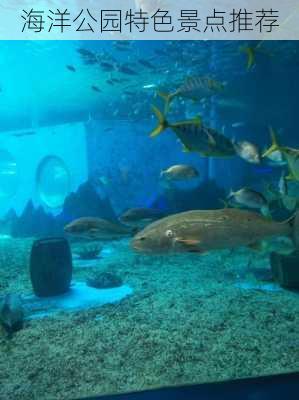 海洋公园特色景点推荐