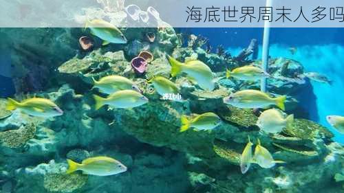 海底世界周末人多吗