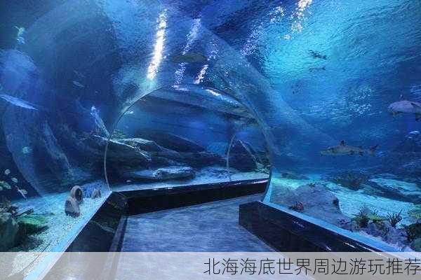 北海海底世界周边游玩推荐