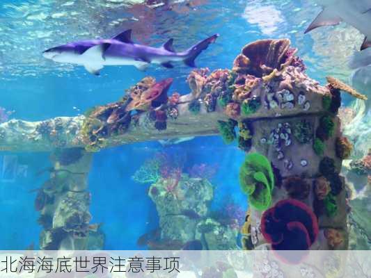 北海海底世界注意事项