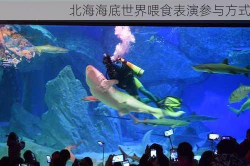 北海海底世界喂食表演参与方式