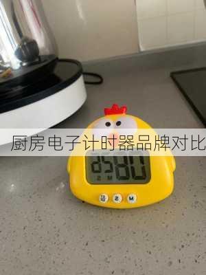 厨房电子计时器品牌对比