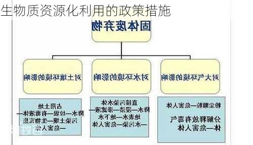 生物质资源化利用的政策措施
